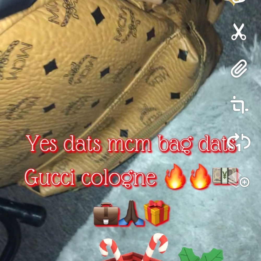 Mcm backpack